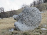 07. Ovaj me podsjeća na ježa